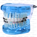 TIPODONTO AZUL SAÚDENT MIXTO 4 TIPOS 1PZ