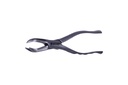 0229 FORCEPS 88R 1 PZ