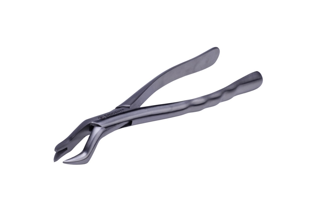 0229 FORCEPS 88L 1 PZ