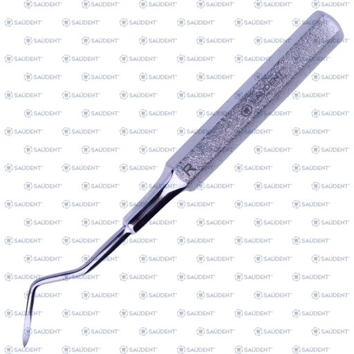 [24777] 0205 ELEVADOR APICAL DELGADO  DERECHO 11L (1 PZ)