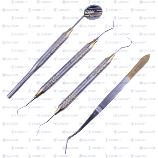 [73358] KIT BÁSICO DENTAL PLATA/DORADO 1x4 SAUDENT (4 PZ)